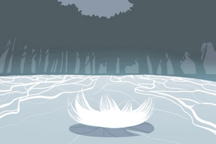 金鱼养五条风水好 可以改变风水气息