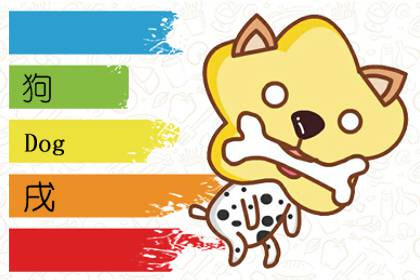 属马和属兔生宝宝 属狗宝宝最好