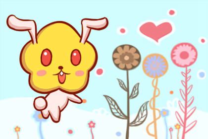 属兔人2021财运发展 财运运势不佳
