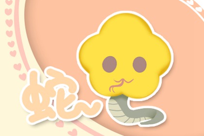 属蛇人未来三年职场运势好 事业上顺风顺水
