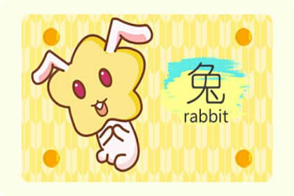 属龙和属羊生属兔宝宝四五月兔宝宝不错