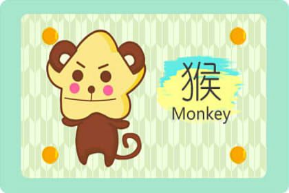 属猪和属猴生兔宝宝猪兔有着三合关系