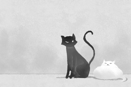 猫主动上门意味着什么 带来好运