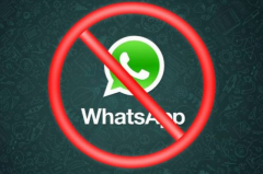 2021WhatsAppݵֻ