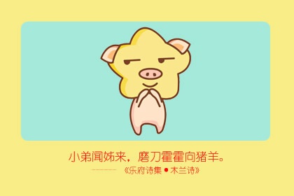 95年属猪的姻缘在哪年 命中注定和什么属相在一起