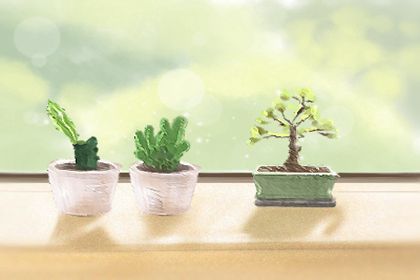 春节返乡要隔离吗 各省市疫情情况