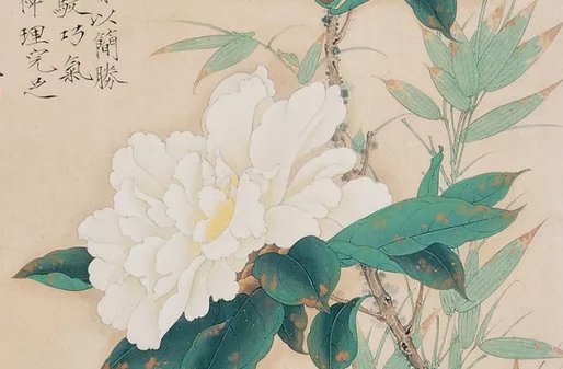 属牛和属狗属相相克吗 会离婚吗
