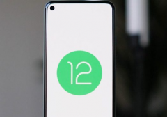 Android 12ʱ