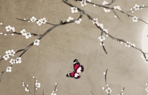 6合八字合但是走不到最后吗 十二生肖三合六合表