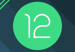 Android 12ģʽζżƳPixel 6 XL