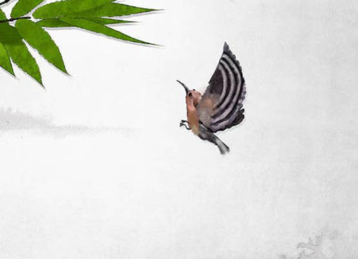 设计公司起名精选 有特点的公司名字