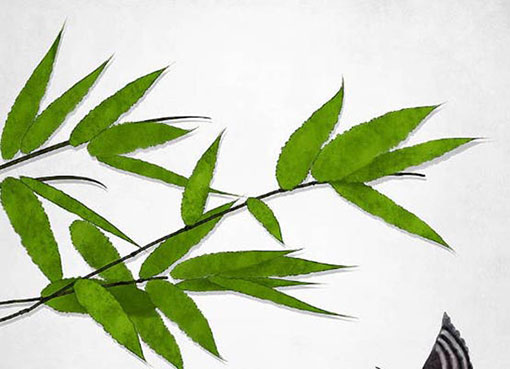 设计公司起名精选 有特点的公司名字