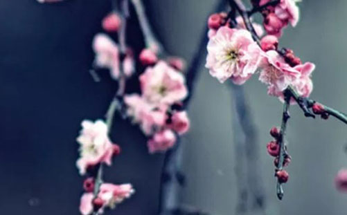 牛年起名带火可以吗,喜火字最吉利的字