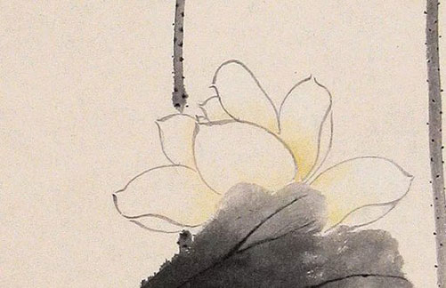 牛年女宝宝起名带莎字,莎字有诗意名字介绍
