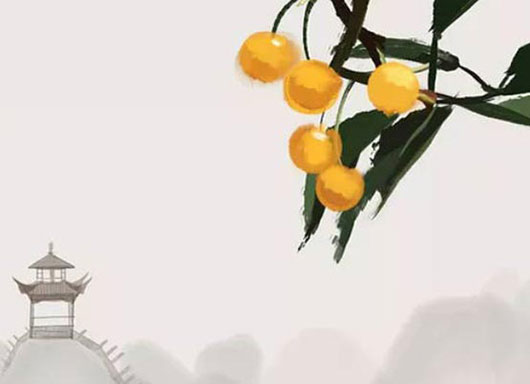 本命年不能自己买红内裤吗,本命年要一整年穿红吗
