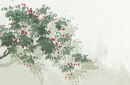 属牛的桃花运在哪年比较旺盛 有什么说法