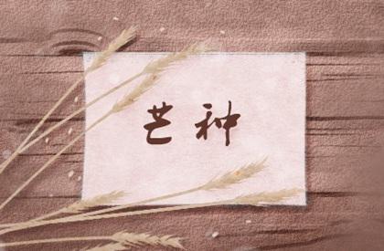 达字辈的男孩名字 达字辈取名