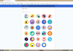 ChromeϴԶɫļ
