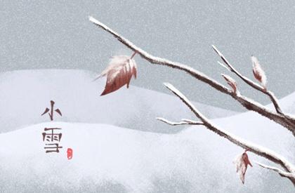 属牛永远最旺颜色 什么颜色最适合属牛人