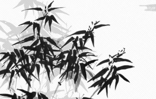 孤鸾煞的女人结局 事业运势如何