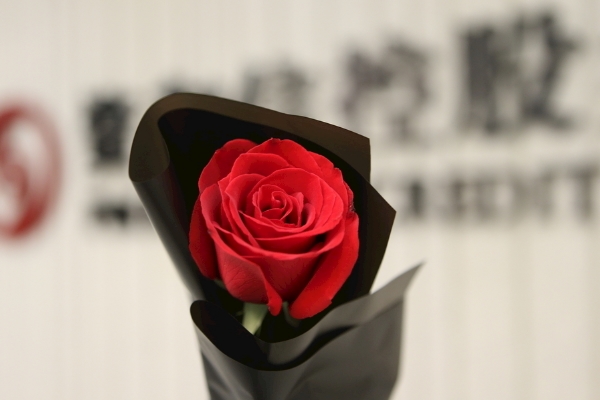 11朵红玫瑰花花语 一生一世的爱意