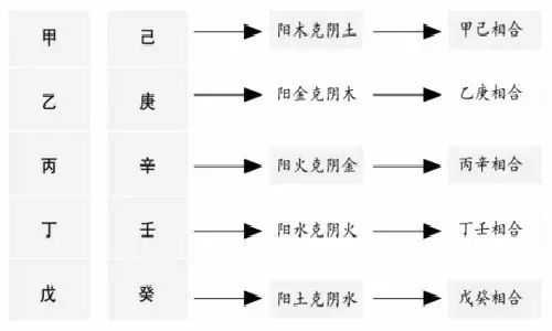 辛金为什么喜欢乙木，乙木遇辛金会成大人物