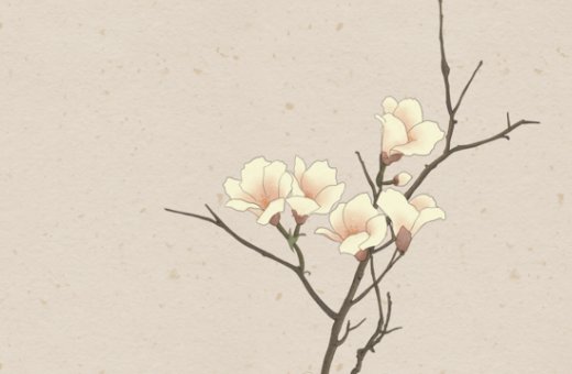 牛年男宝宝起名带什么字好,最吉利的名字