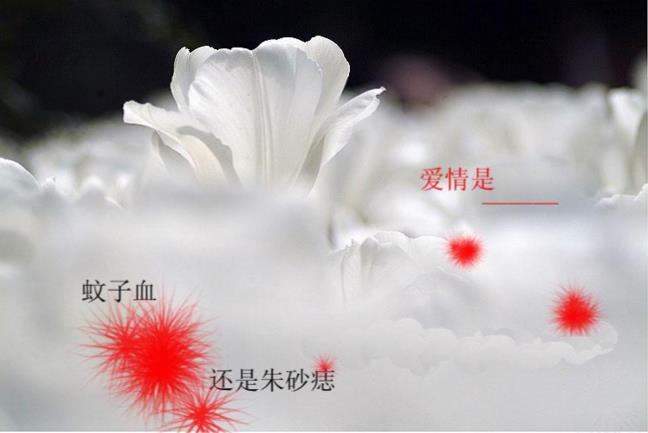 朱砂痣和蚊子血代表什么，常形容爱情