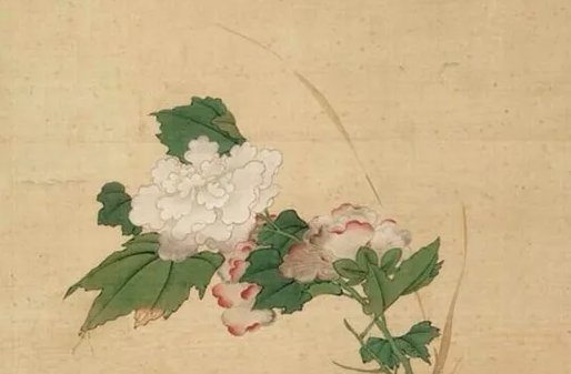 生肖运势分析：2021年5月属蛇女能不能有好运势
