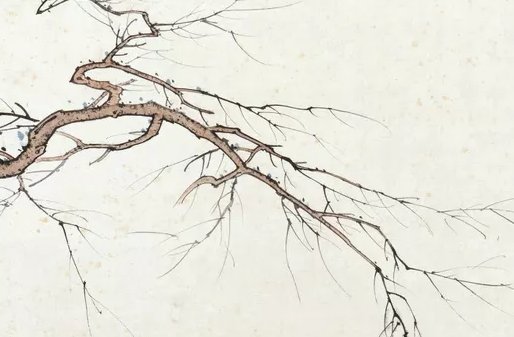 2021年12月属猴女运势发展方向好吗 财运发展如何