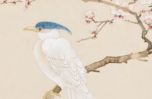 2021年11月属狗女能不能有好运势 财富运势怎样