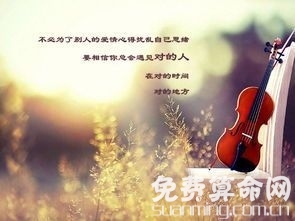 八字起运晚的人不好养，晚运好的八字