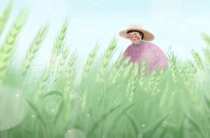 女人左手掌纹路图解 女人左手掌纹怎么看