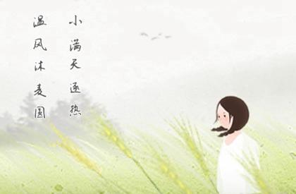 女人左手掌纹路图解 女人左手掌纹怎么看