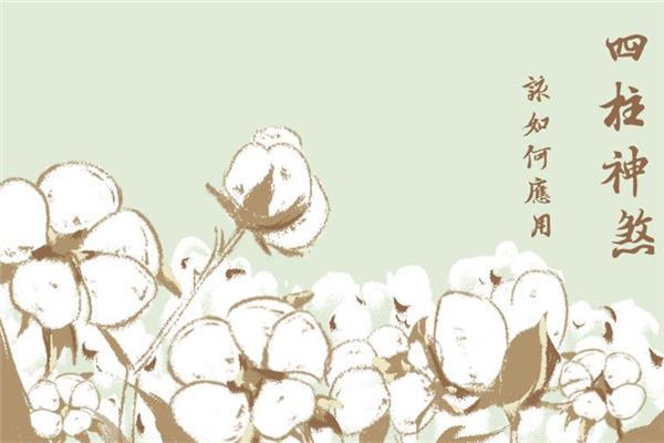 八字排盘中的四柱神煞是什么 四柱神煞解析
