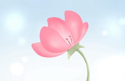 2021有添丁之喜的生肖 属蛇 属鸡 属龙 属羊