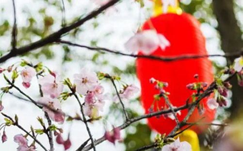 黄道吉日：2021年农历十一月二十一平安夜搬家乔迁日子分析
