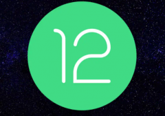 Android 12 Developer Preview 2˻лģʽĸ