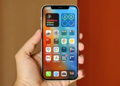 Apple iPhone 13ʾСȱ